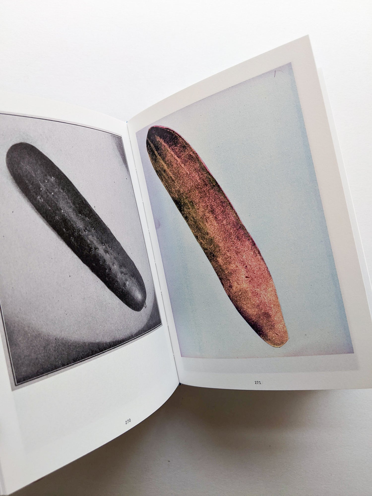 The Oldest Thing / Ruth van Beek