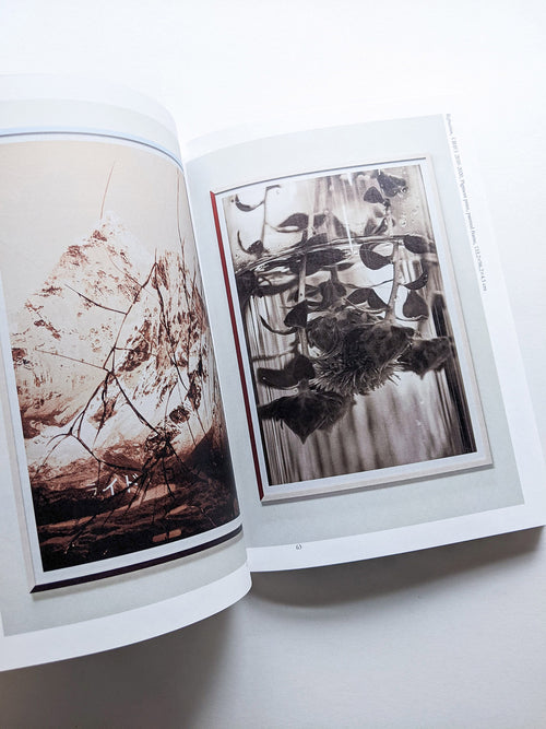 Find Your Verb / Isoya Hirofumi [SIGNED]