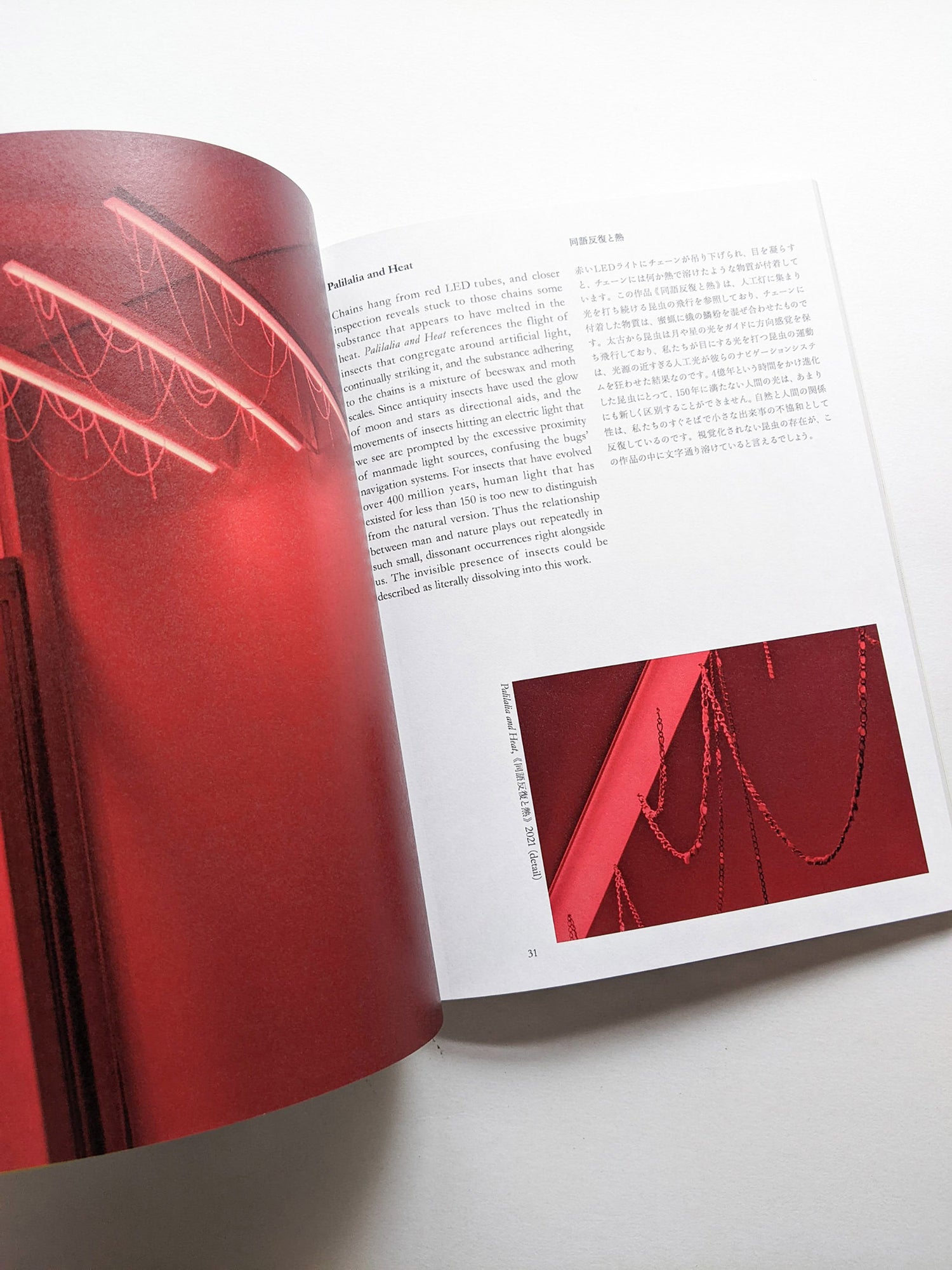 Find Your Verb / Isoya Hirofumi [SIGNED]