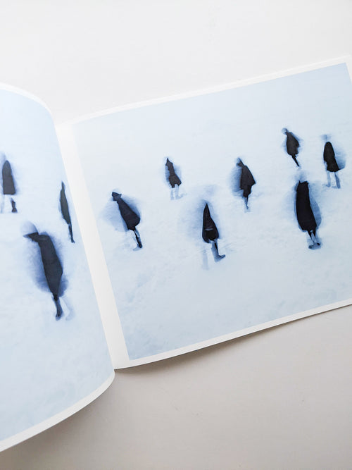 Assembly snow / Osamu Yokonami