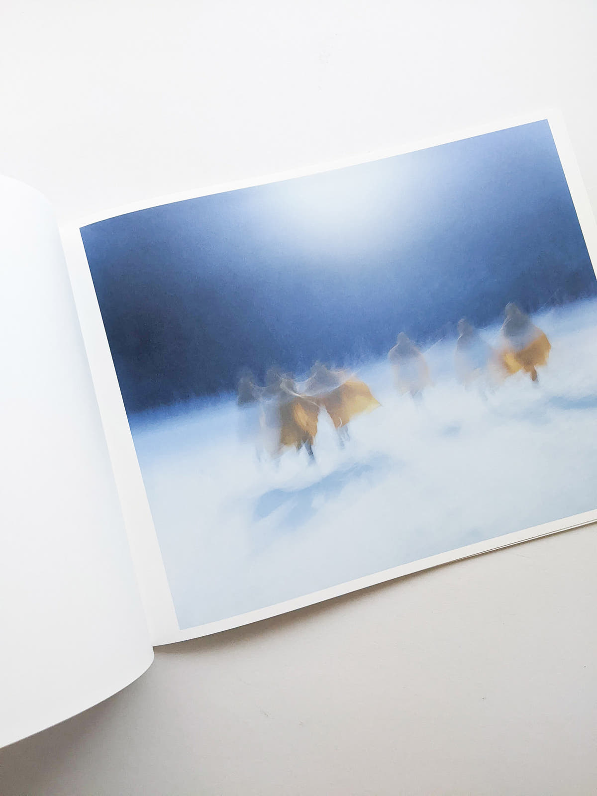 Assembly snow / Osamu Yokonami