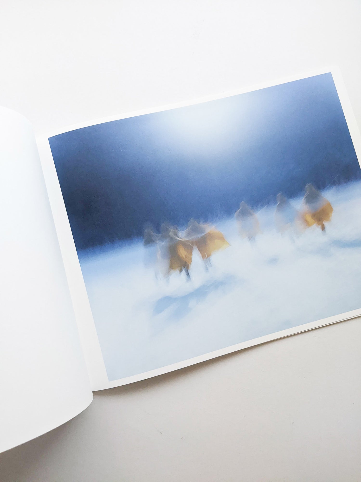 Assembly snow / Osamu Yokonami