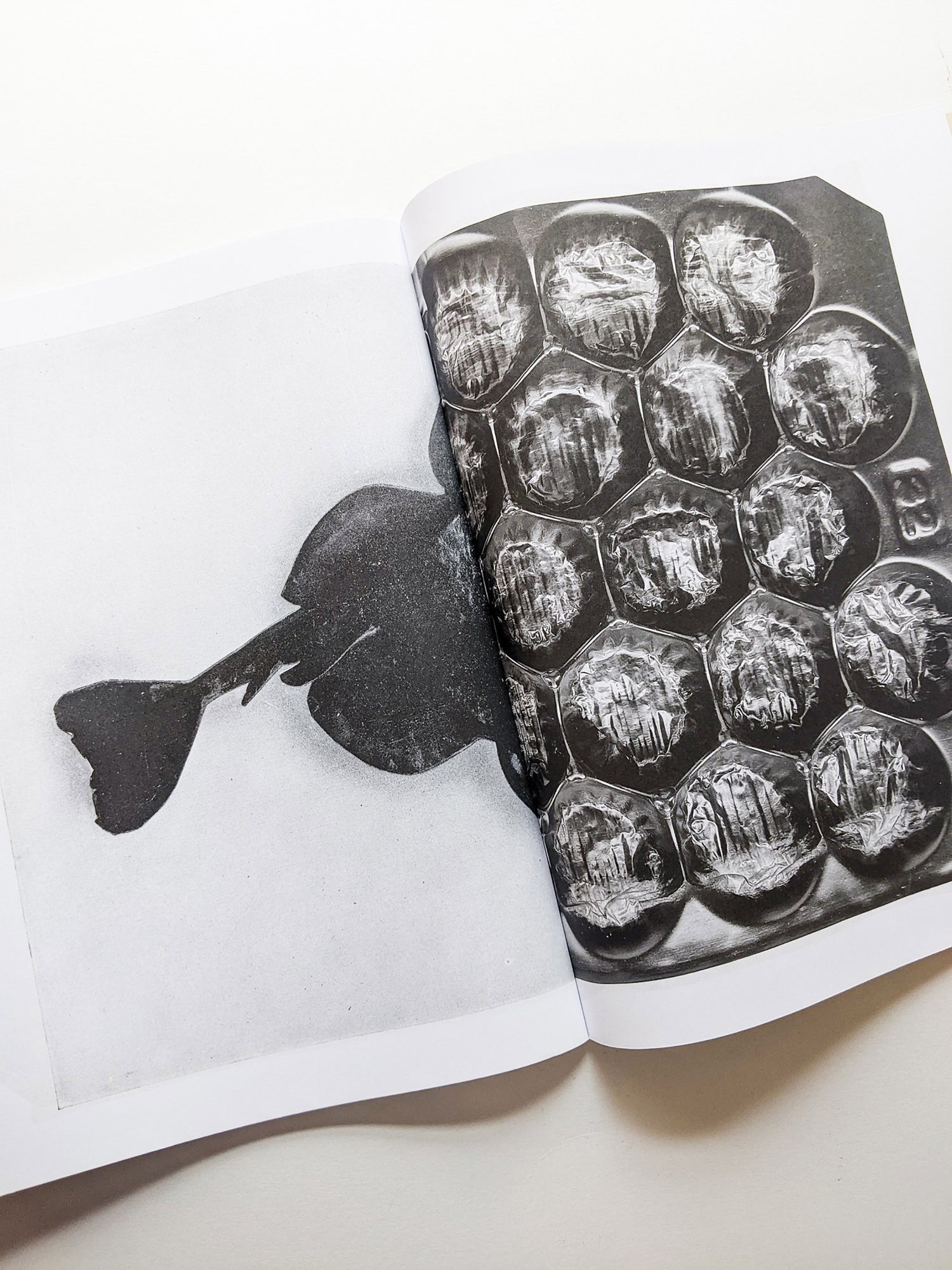 Exosphere / Batia Suter