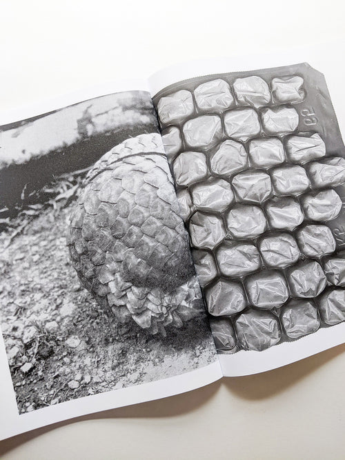 Exosphere / Batia Suter