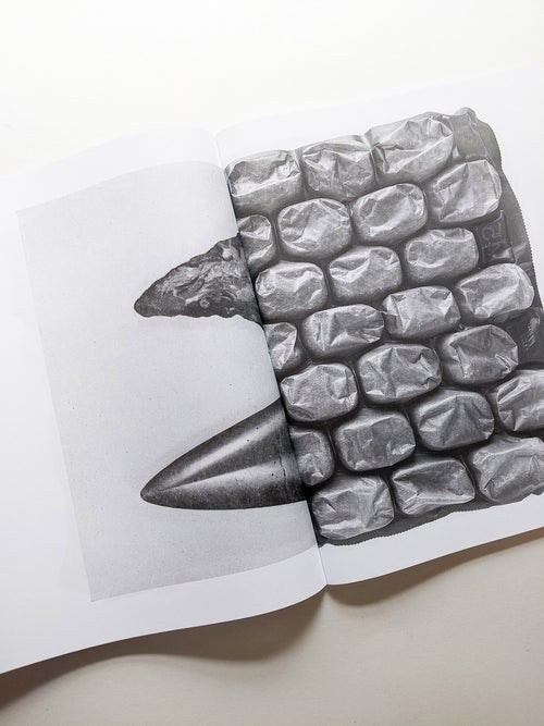 Exosphere / Batia Suter