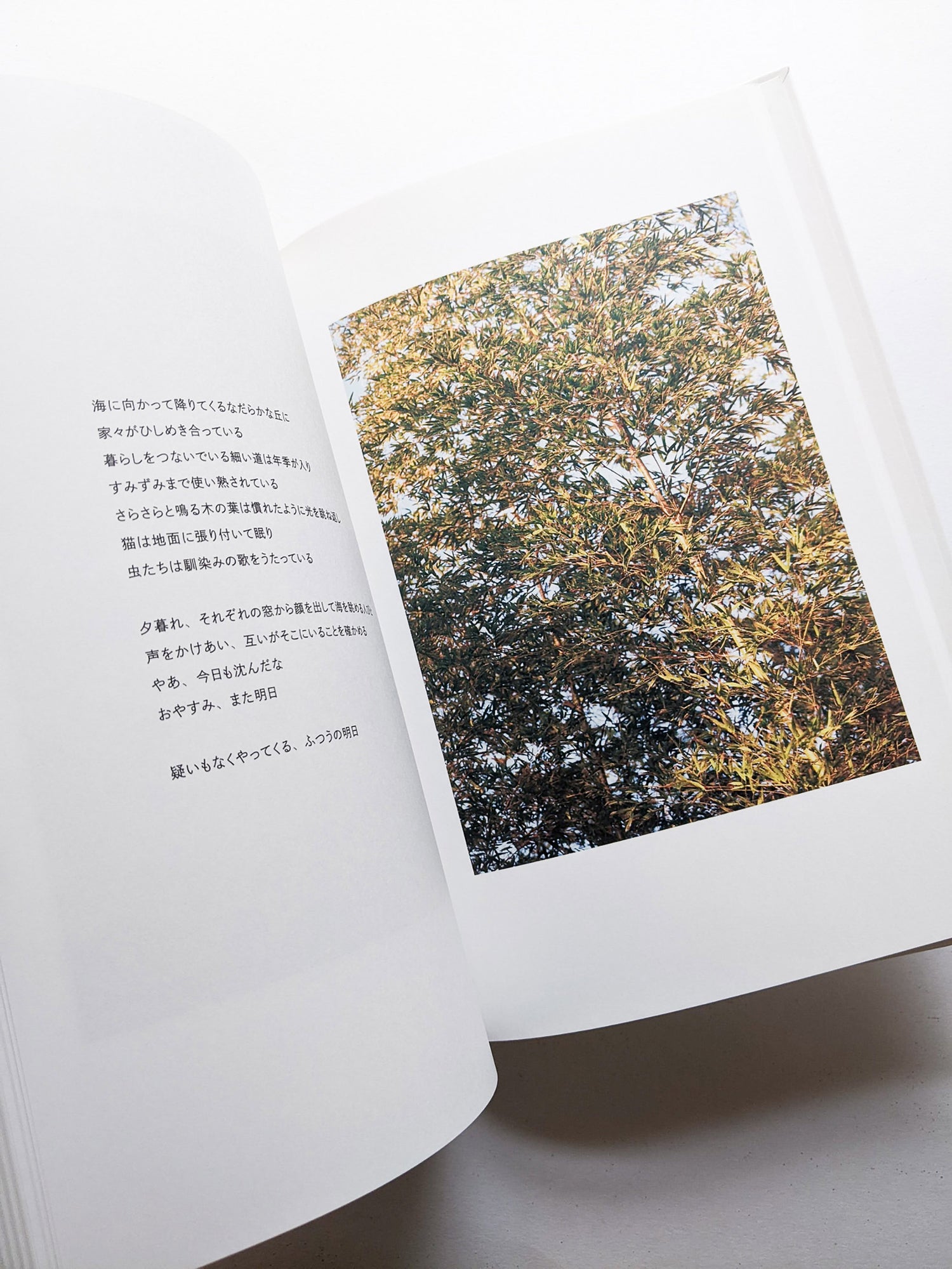 New Habitations: from North to East 11 years after 3.11