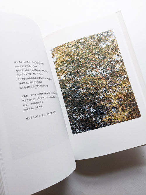 New Habitations: from North to East 11 years after 3.11