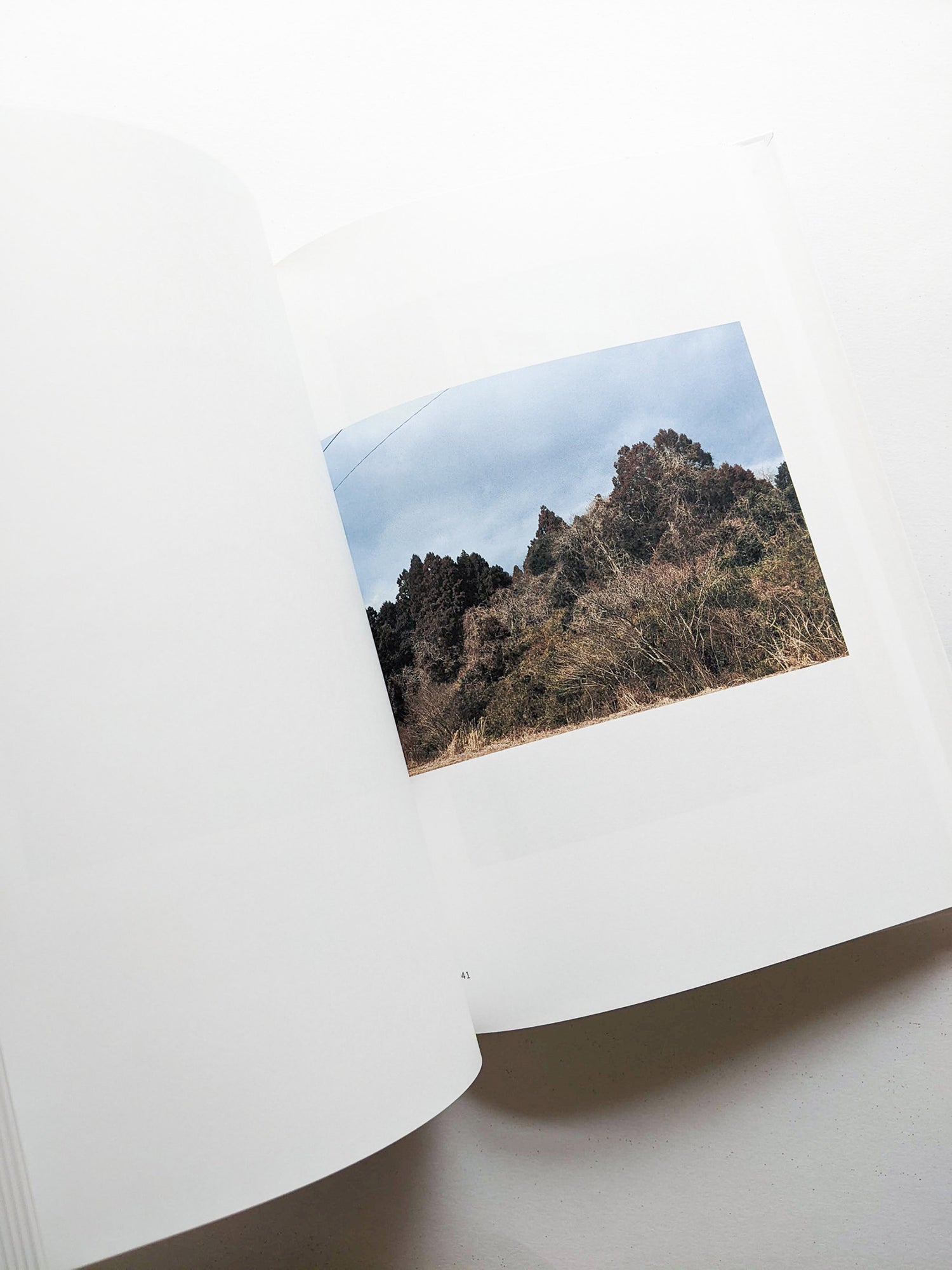 New Habitations: from North to East 11 years after 3.11