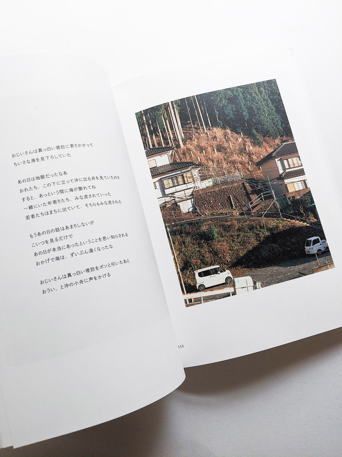 New Habitations: from North to East 11 years after 3.11
