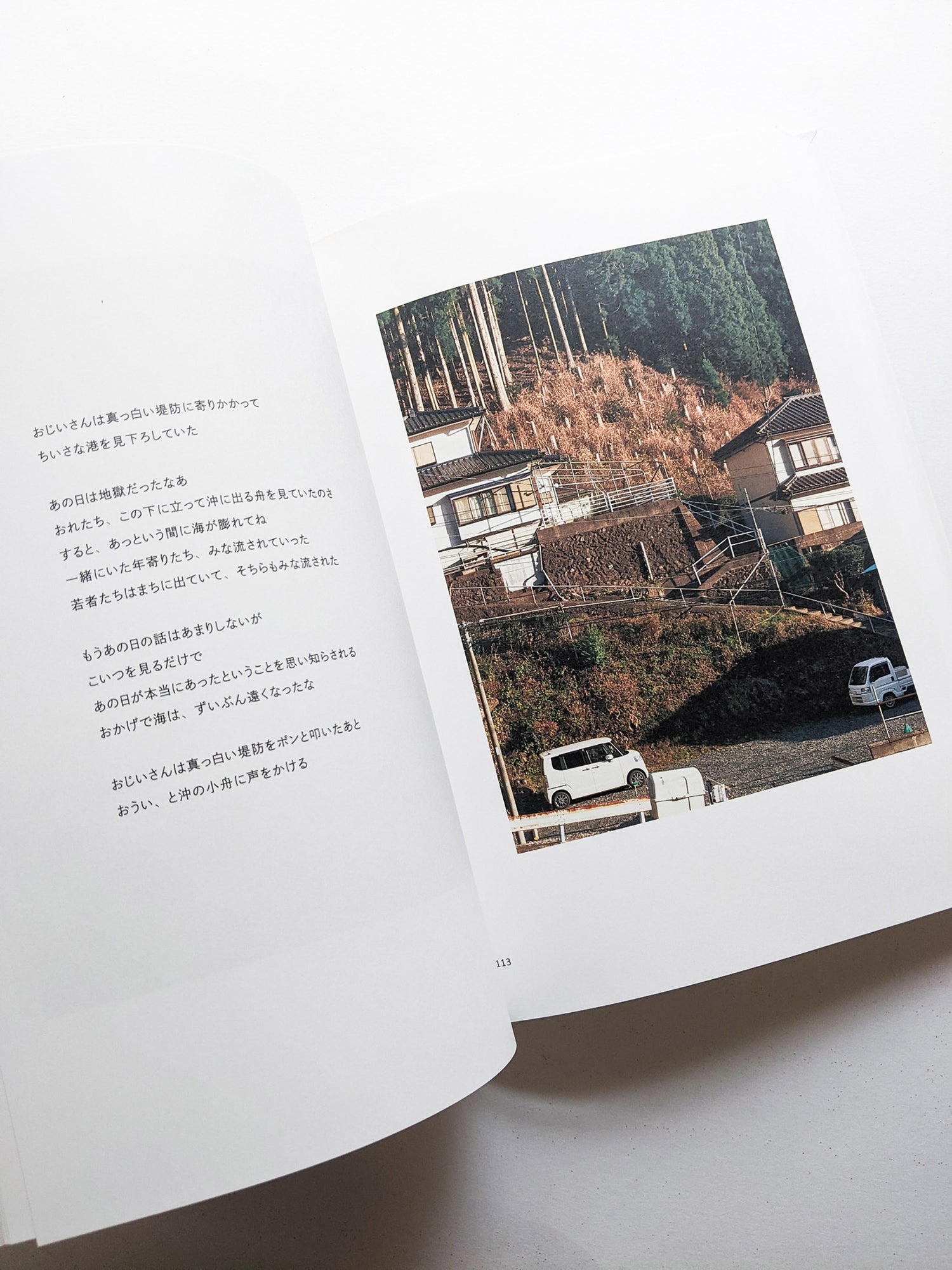 New Habitations: from North to East 11 years after 3.11