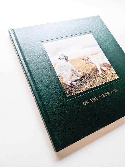 ON THE SIXTH DAY / Alessandra Sanguinetti [SIGNED]