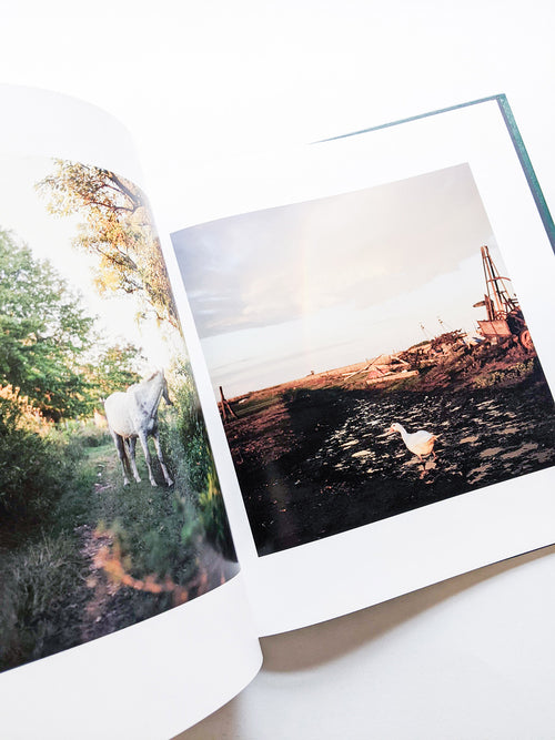 ON THE SIXTH DAY / Alessandra Sanguinetti [SIGNED]