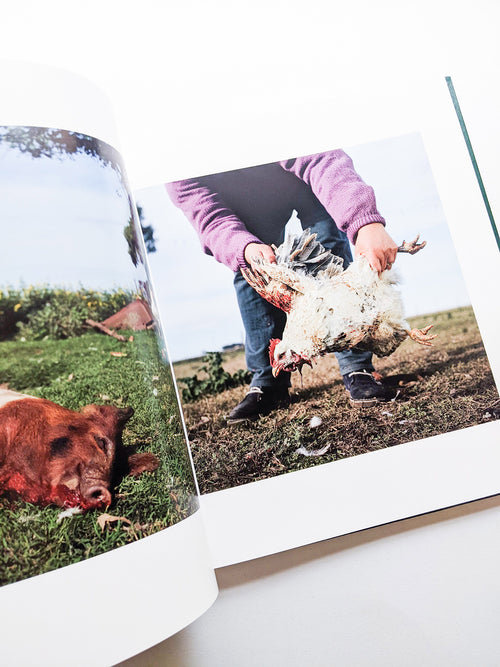 ON THE SIXTH DAY / Alessandra Sanguinetti [SIGNED]