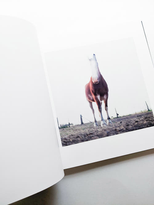 ON THE SIXTH DAY / Alessandra Sanguinetti [SIGNED]