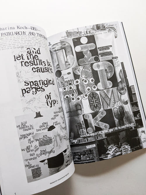 Slanted #40 Experimental Type 2.0 (extended bw reprint)