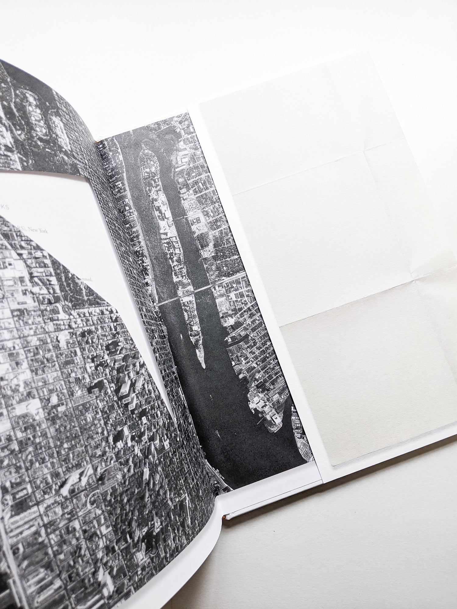 NOT TO BE SOLD FOR MORE THAN $100 / Sol LeWitt