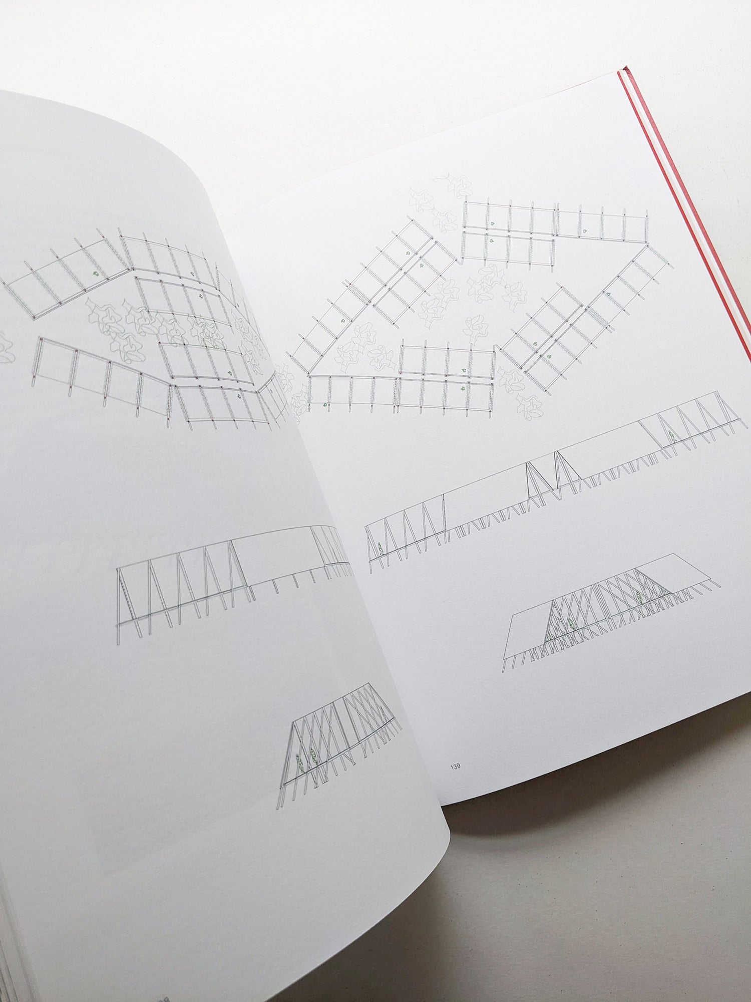 2G No. 88 CARLA JUAÇABA