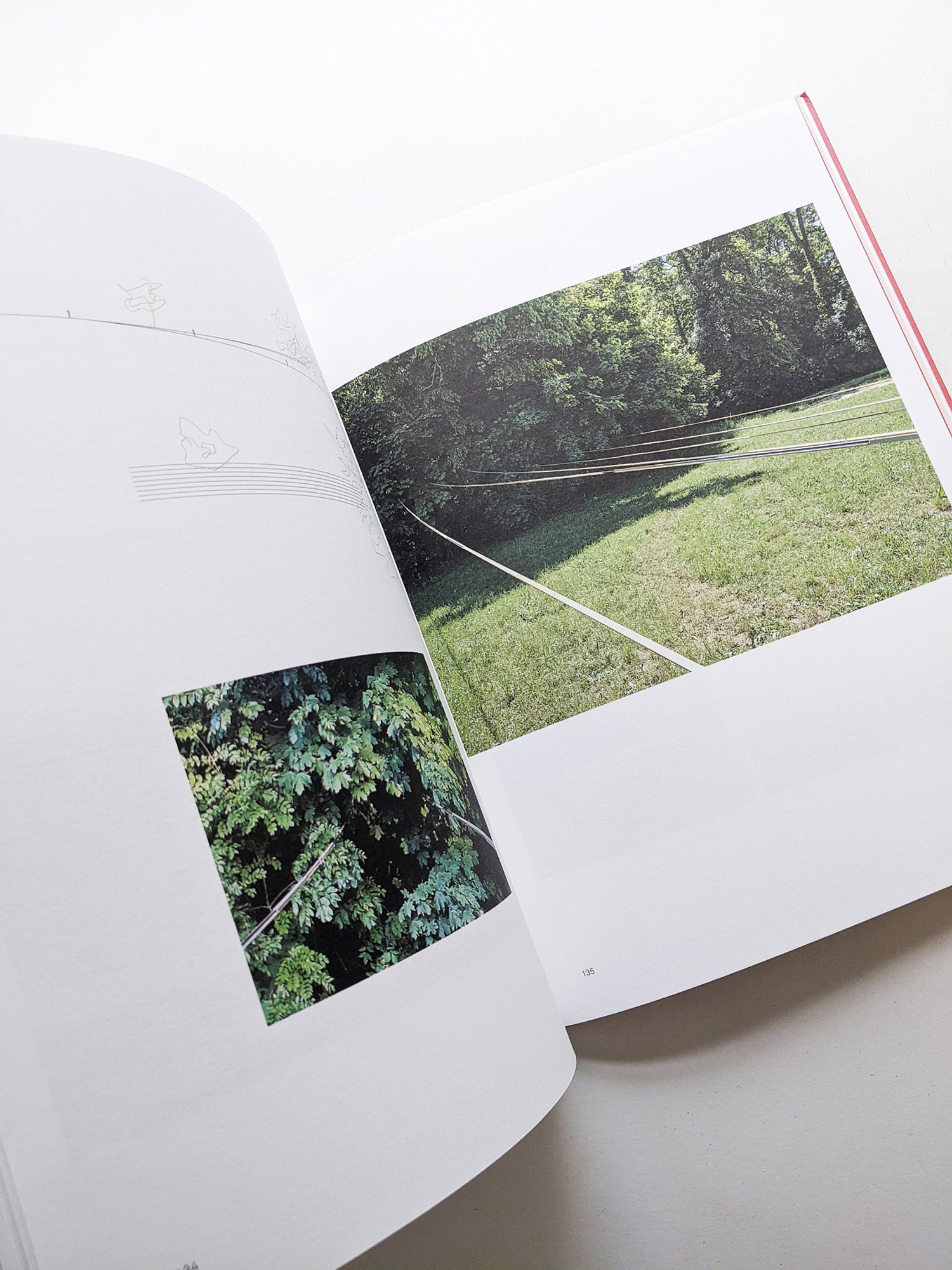 2G No. 88 CARLA JUAÇABA