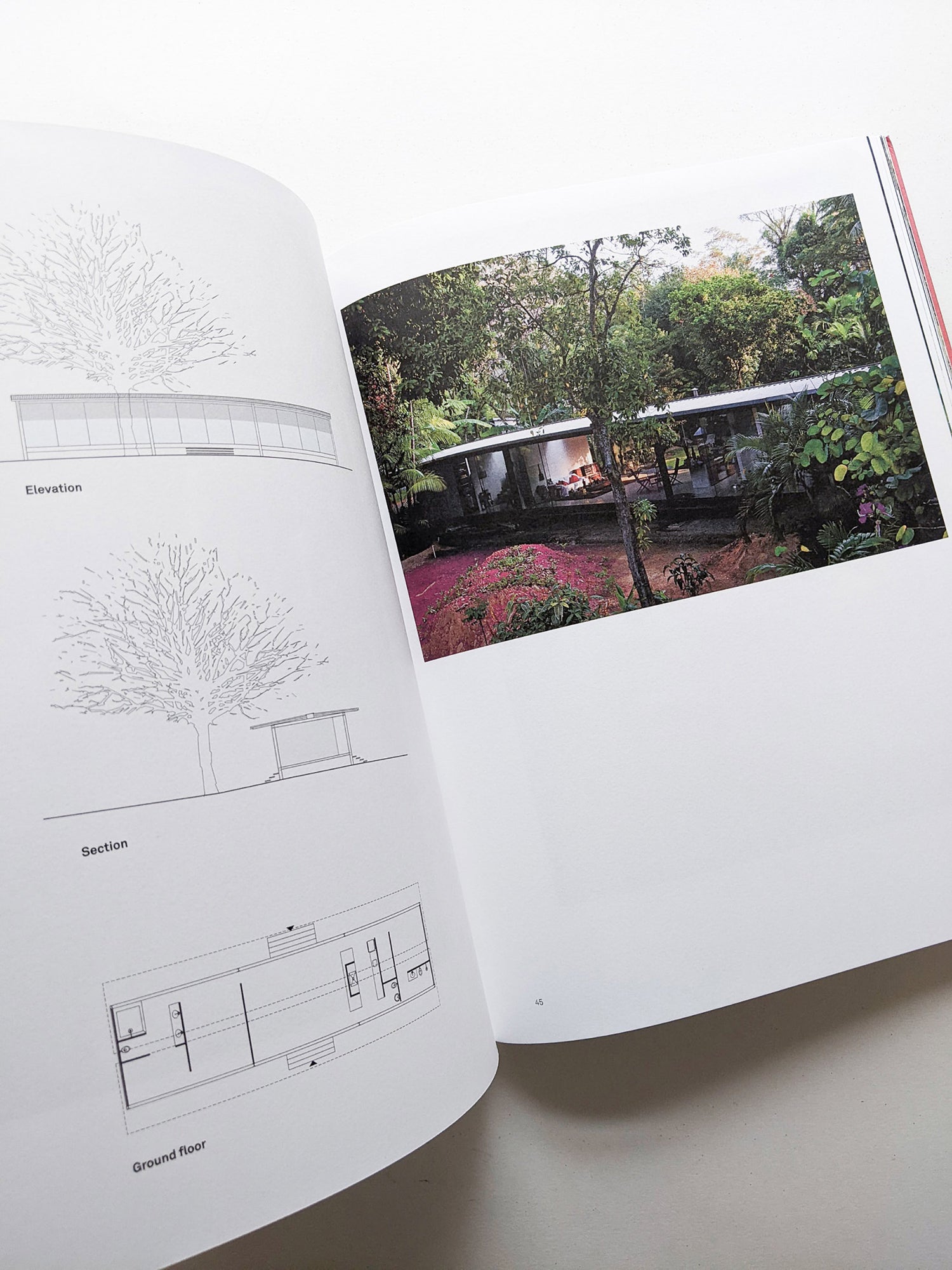 2G No. 88 CARLA JUAÇABA