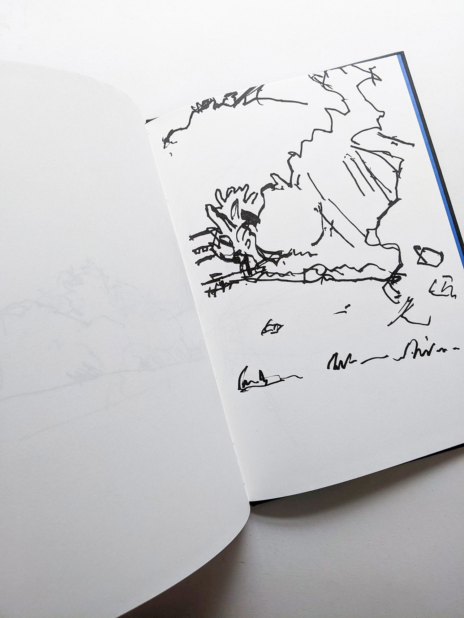 KATZ / Alex Katz, Vincent Katz