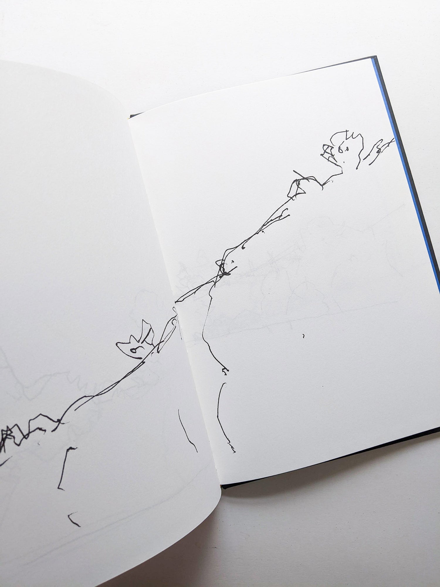 KATZ / Alex Katz, Vincent Katz