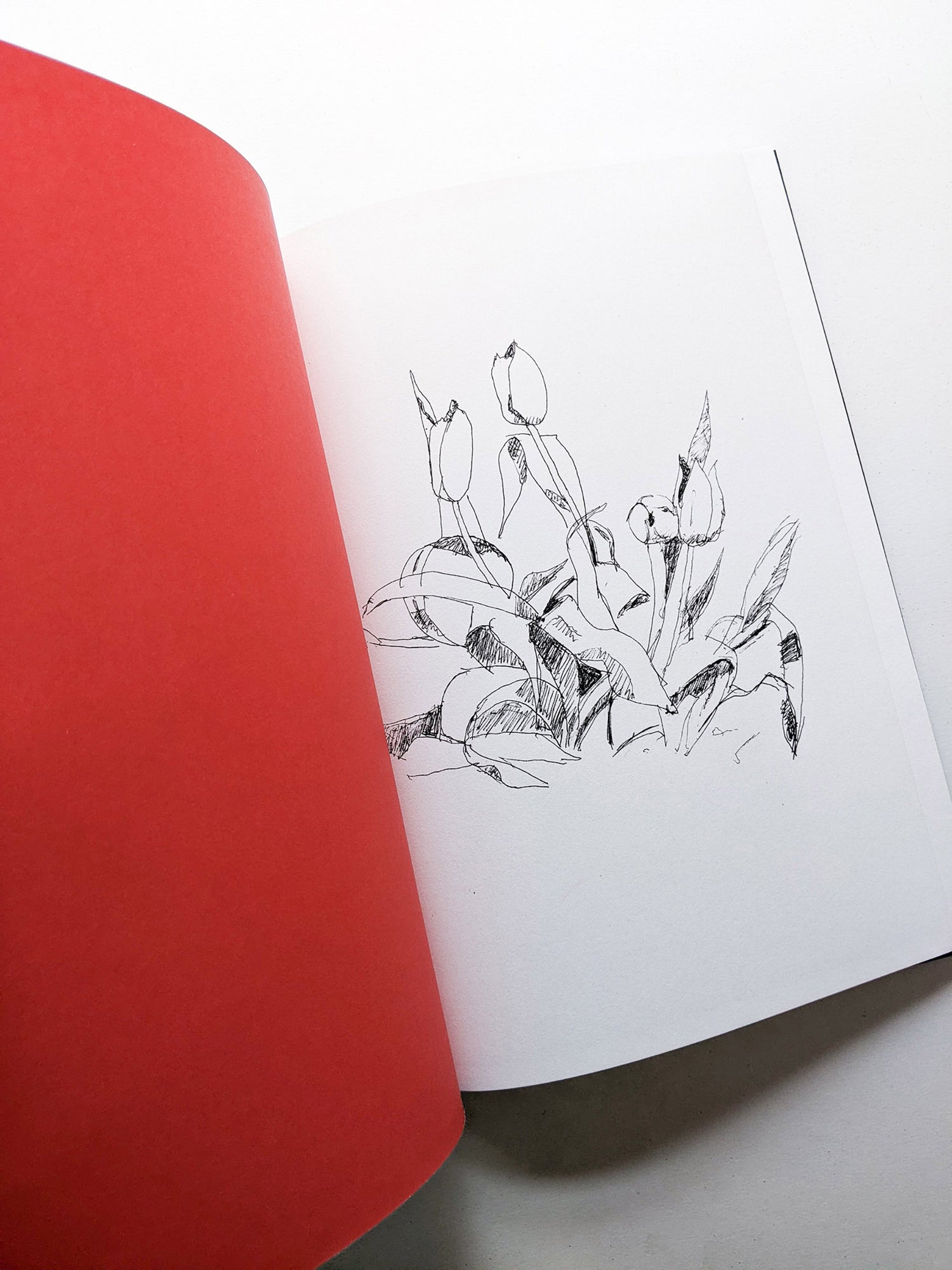 KATZ / Alex Katz, Vincent Katz