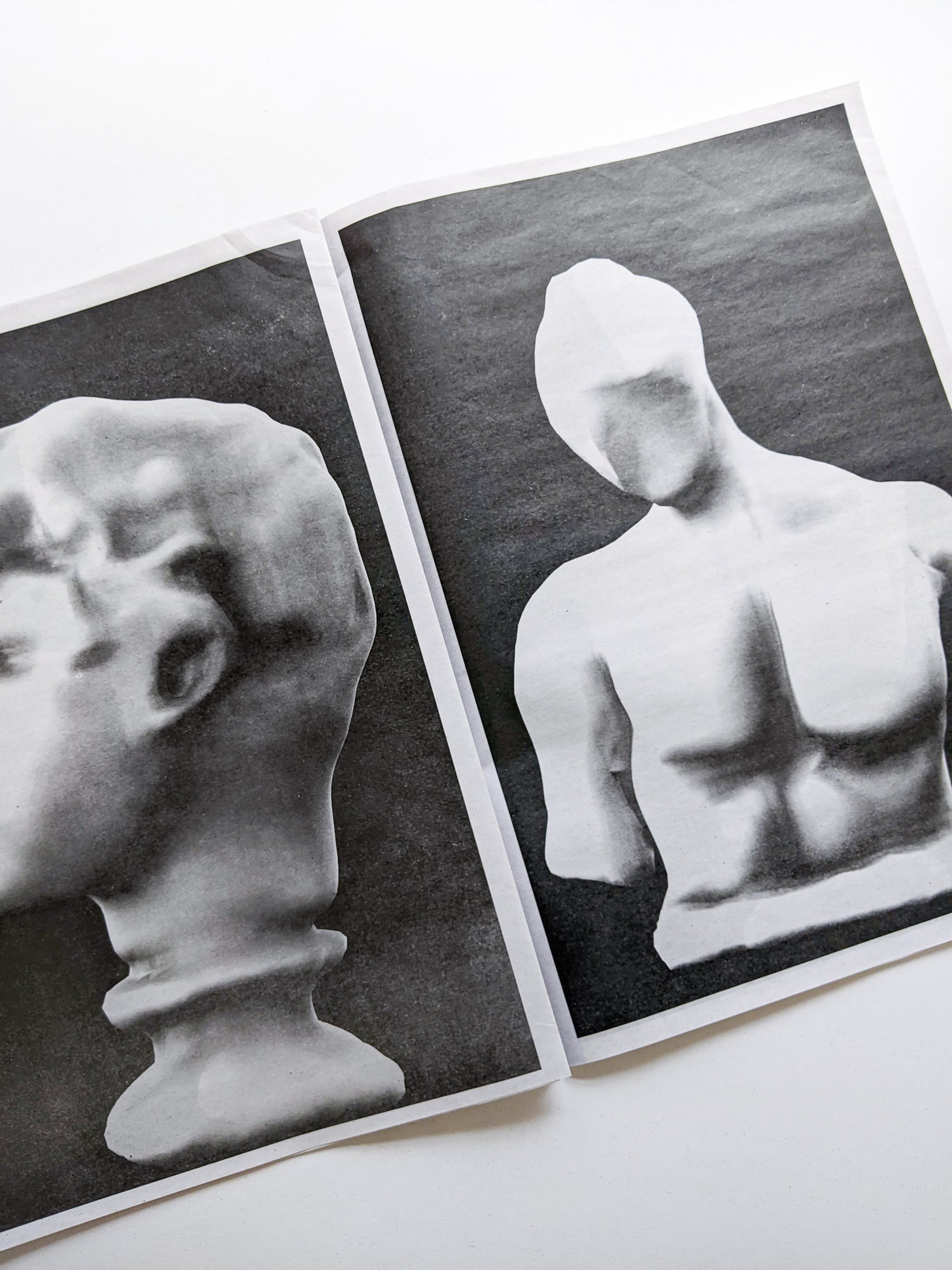 plaster statue / Wenliang.C