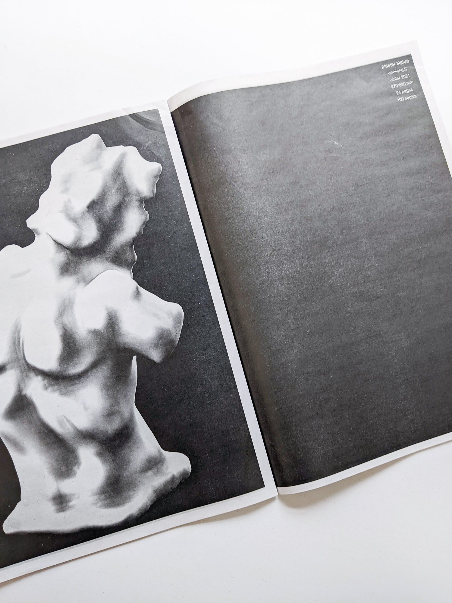 plaster statue / Wenliang.C