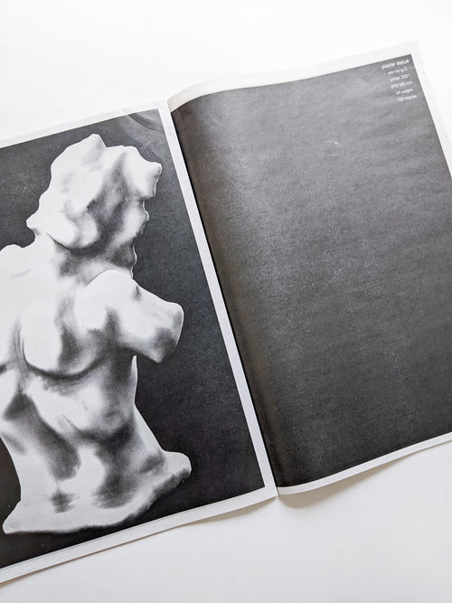 plaster statue / Wenliang.C