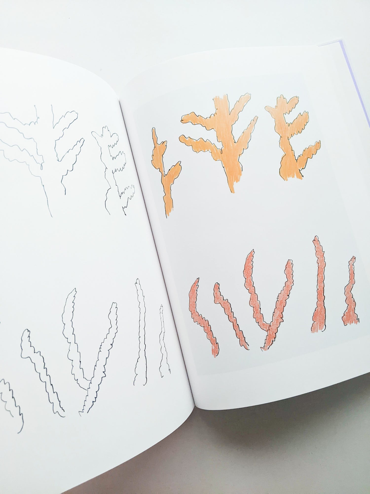 輪郭をなぞる / Tomo Ando