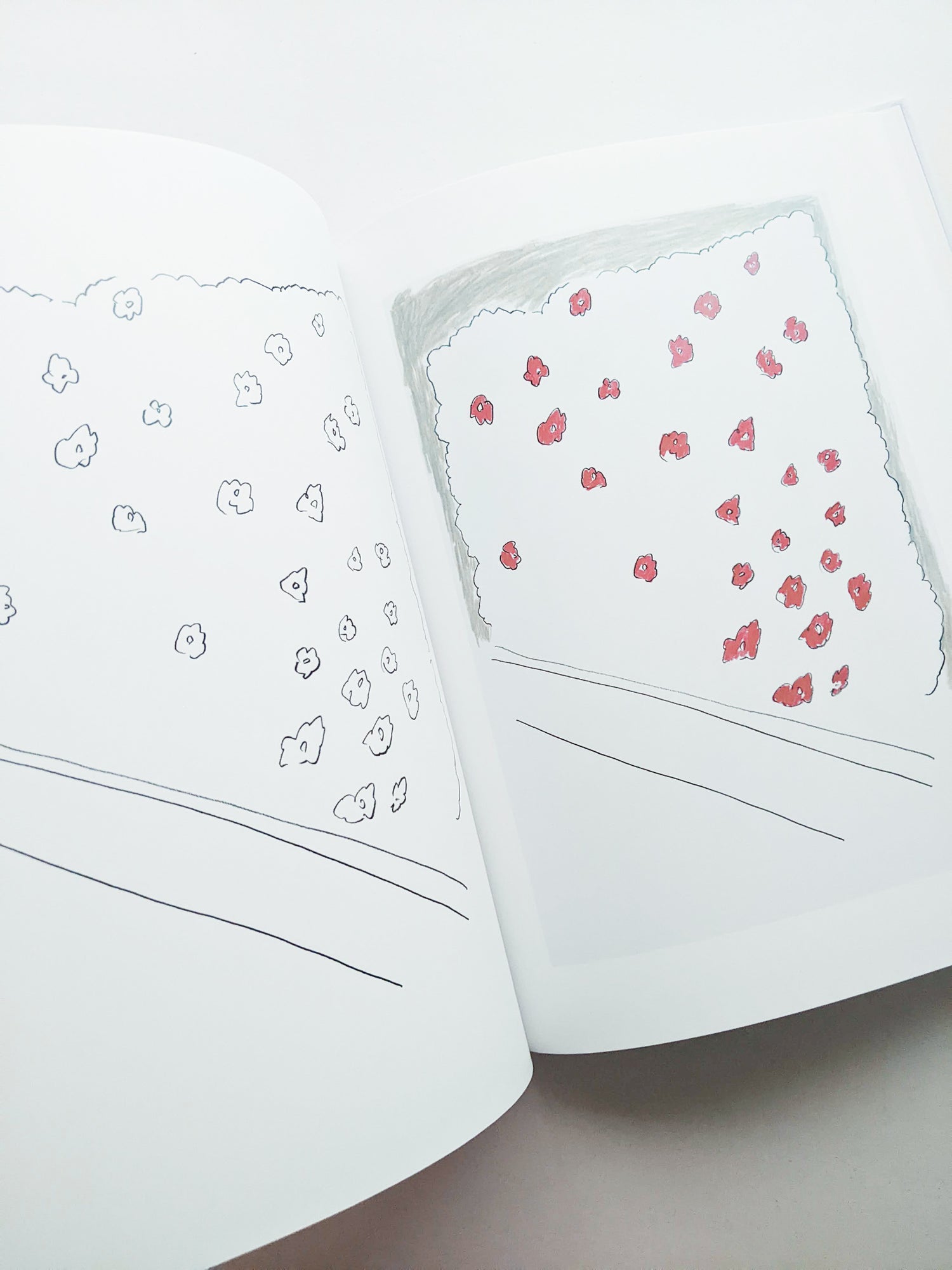 輪郭をなぞる / Tomo Ando