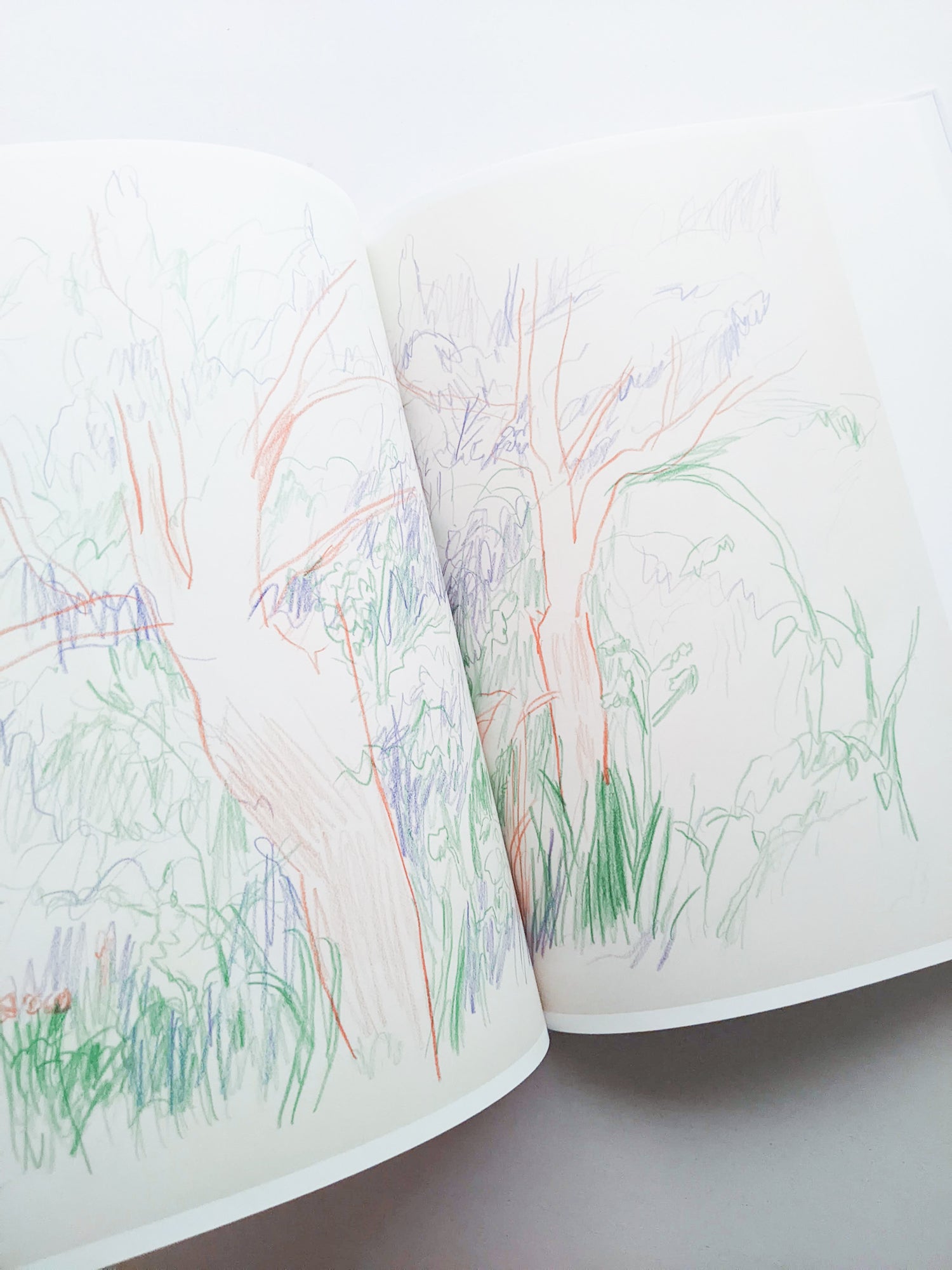 輪郭をなぞる / Tomo Ando