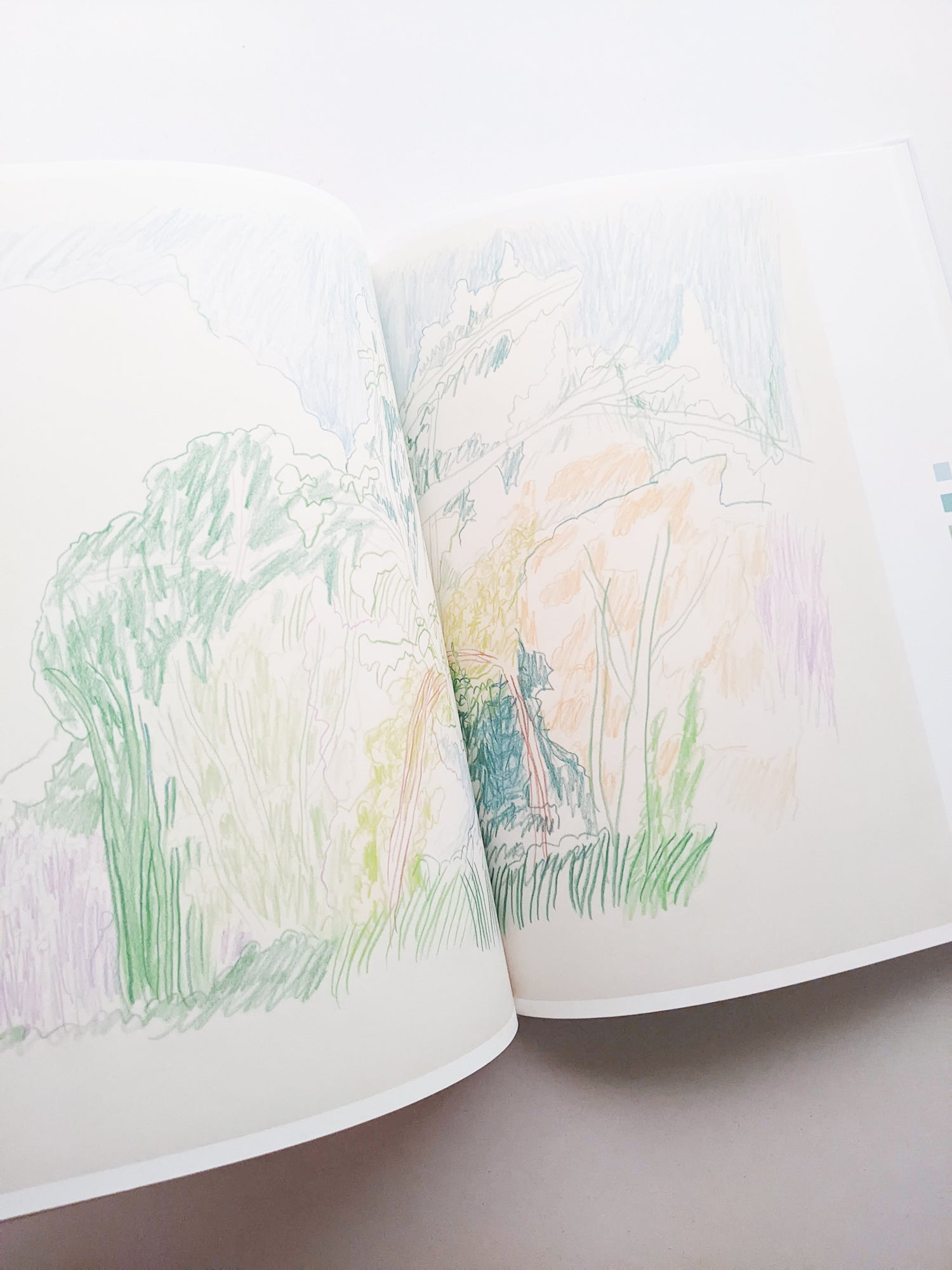 輪郭をなぞる / Tomo Ando