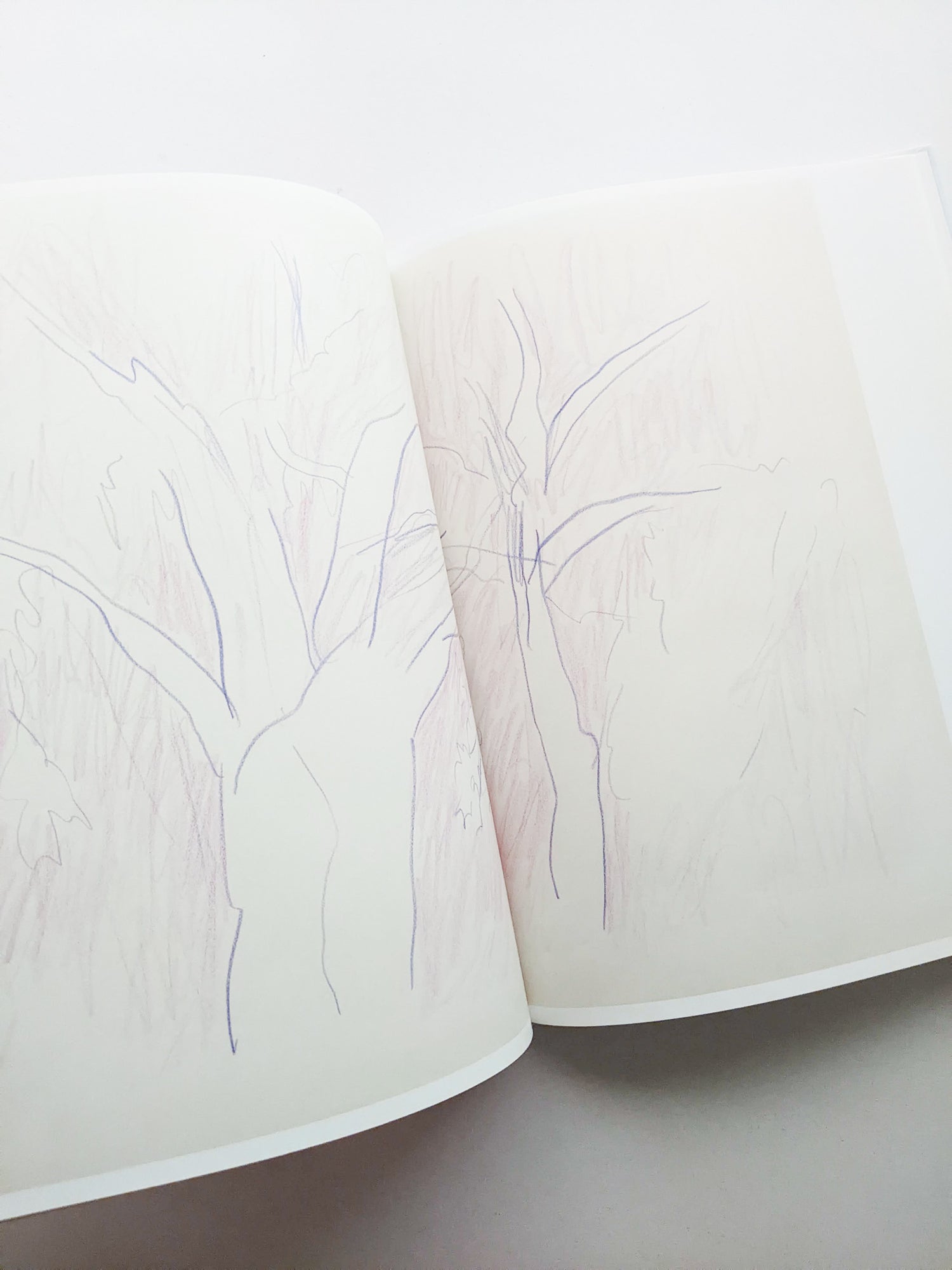 輪郭をなぞる / Tomo Ando