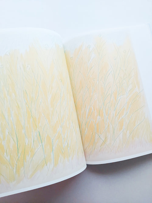 輪郭をなぞる / Tomo Ando