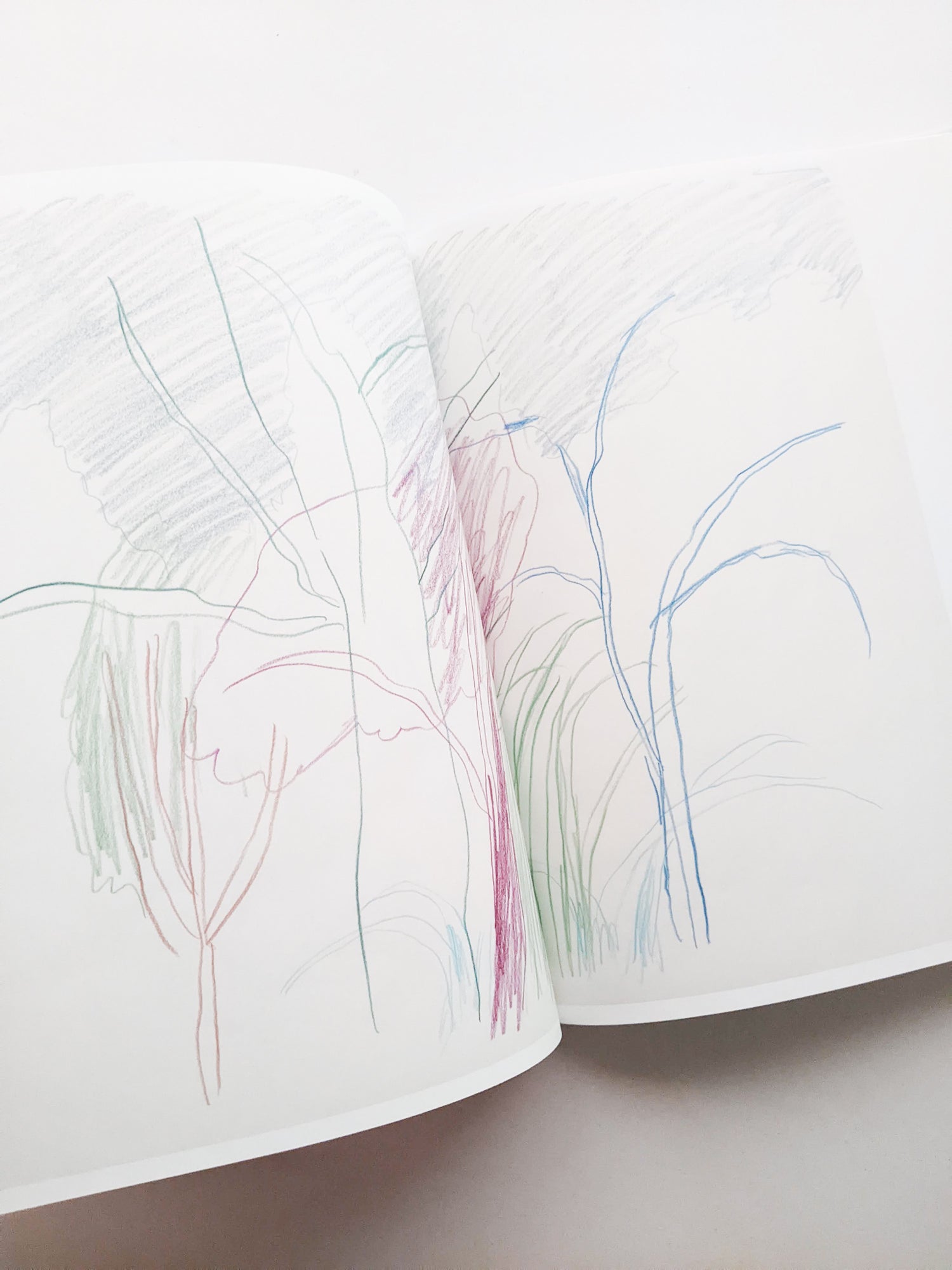 輪郭をなぞる / Tomo Ando