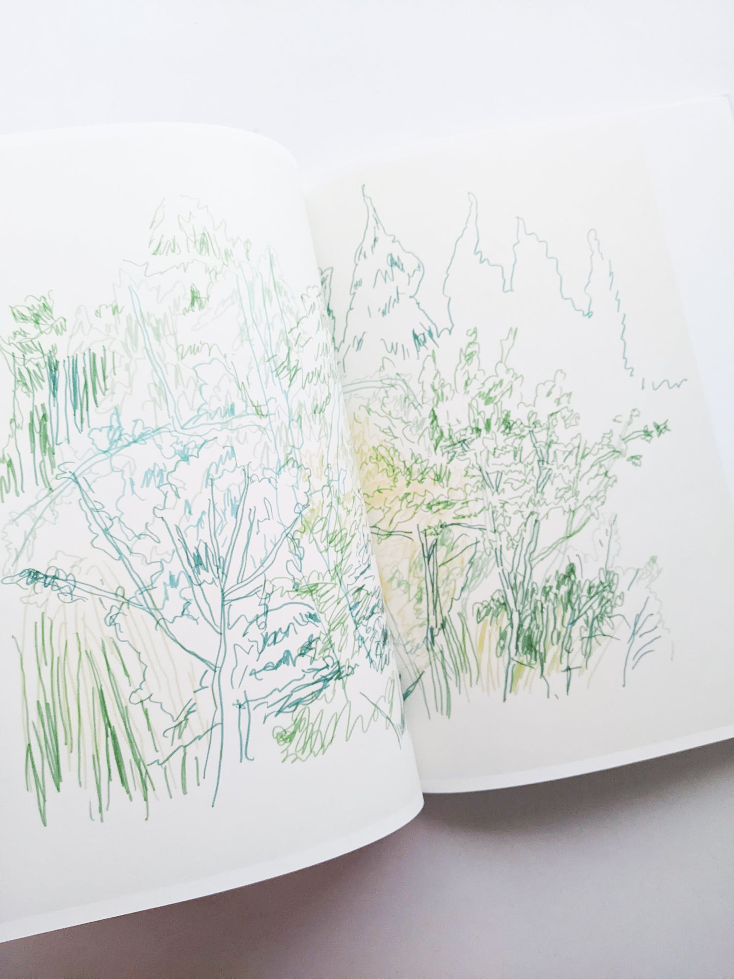 輪郭をなぞる / Tomo Ando