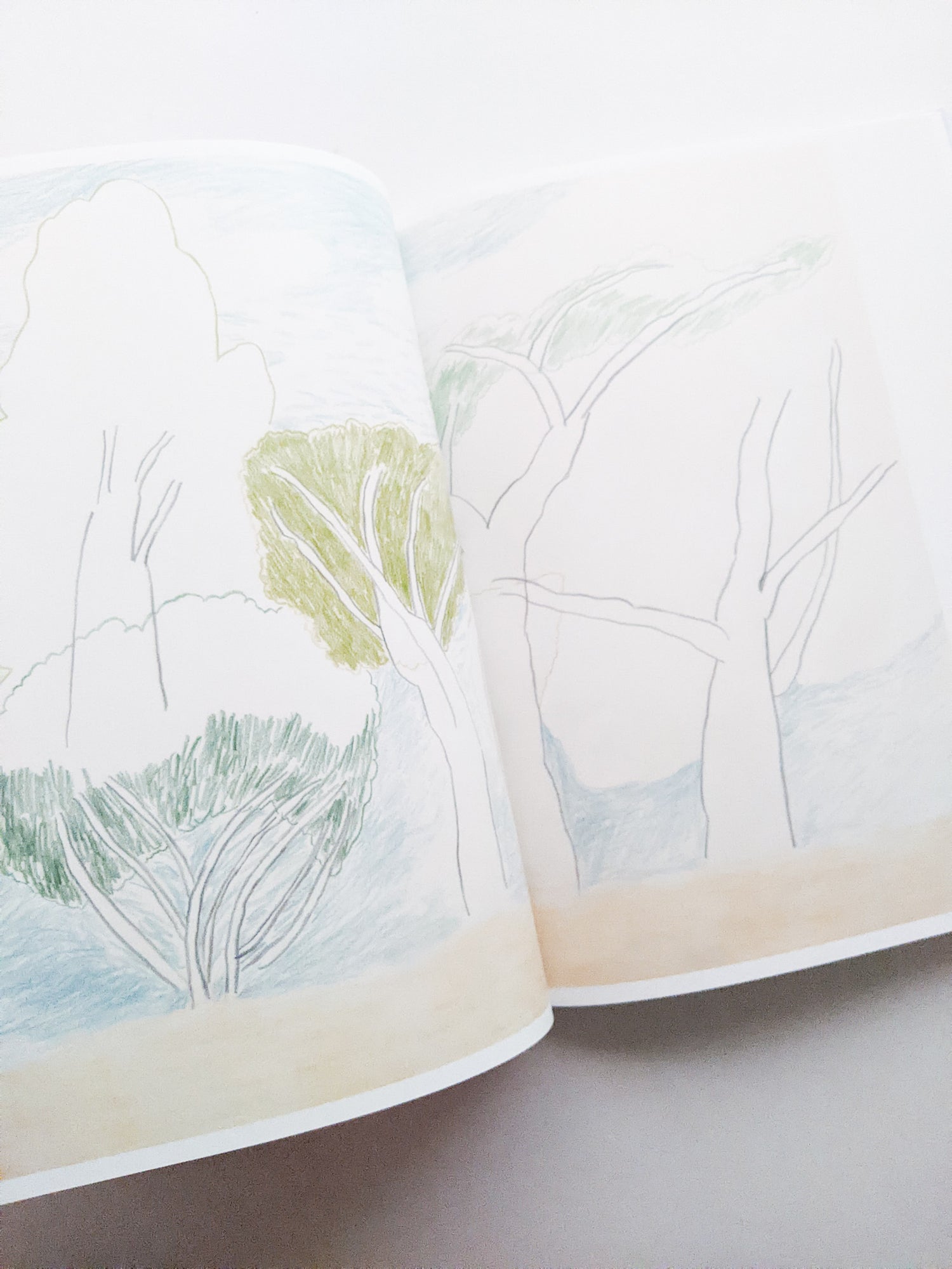 輪郭をなぞる / Tomo Ando