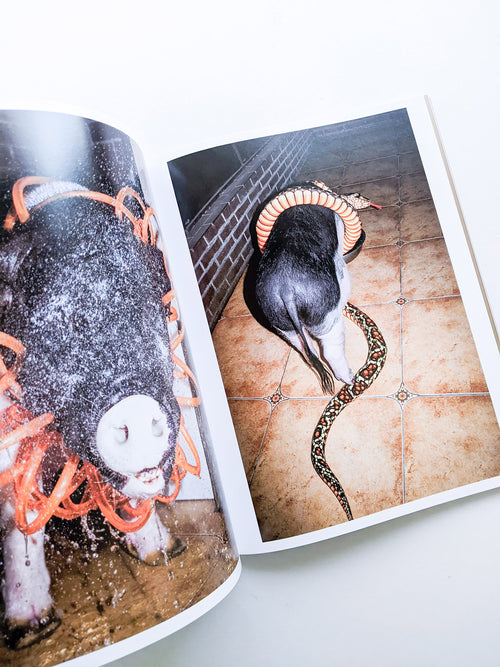 CLOSING CEREMONY Magazine 03: Smile Issue [cover: Feng Li Cover]