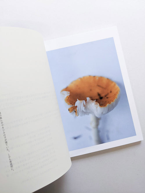 群れた島々と キノコたち / Islands, Islets, and Their Mushrooms [Cut print edition]