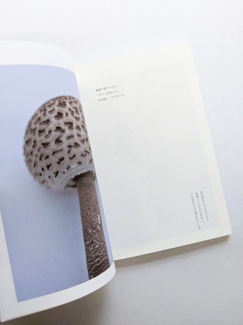 群れた島々と キノコたち / Islands, Islets, and Their Mushrooms [Cut print edition]