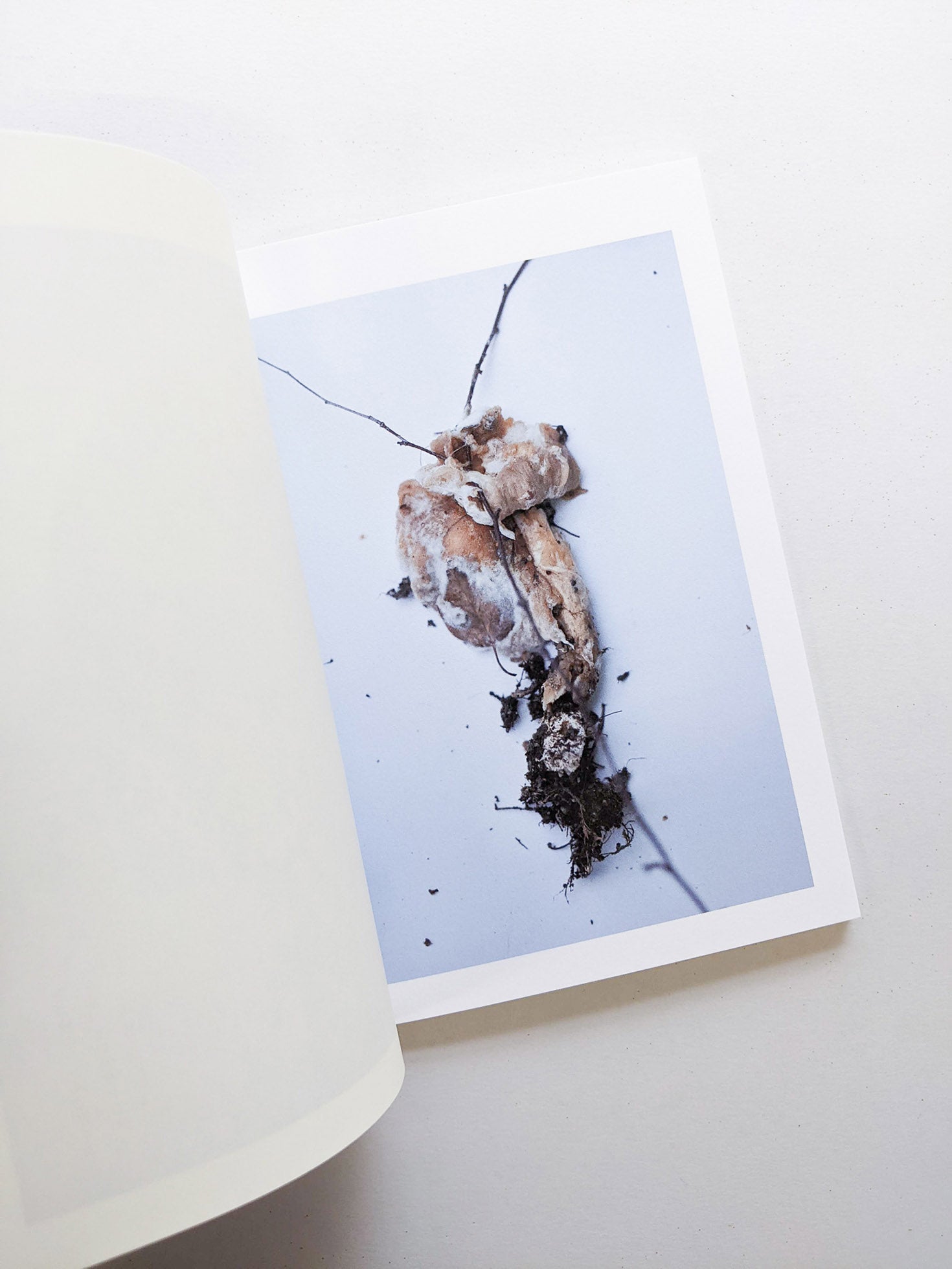 群れた島々と キノコたち / Islands, Islets, and Their Mushrooms [Cut print edition]