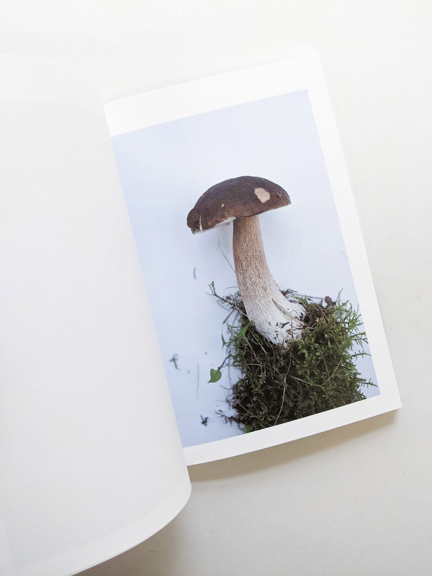 群れた島々と キノコたち / Islands, Islets, and Their Mushrooms [Cut print edition]