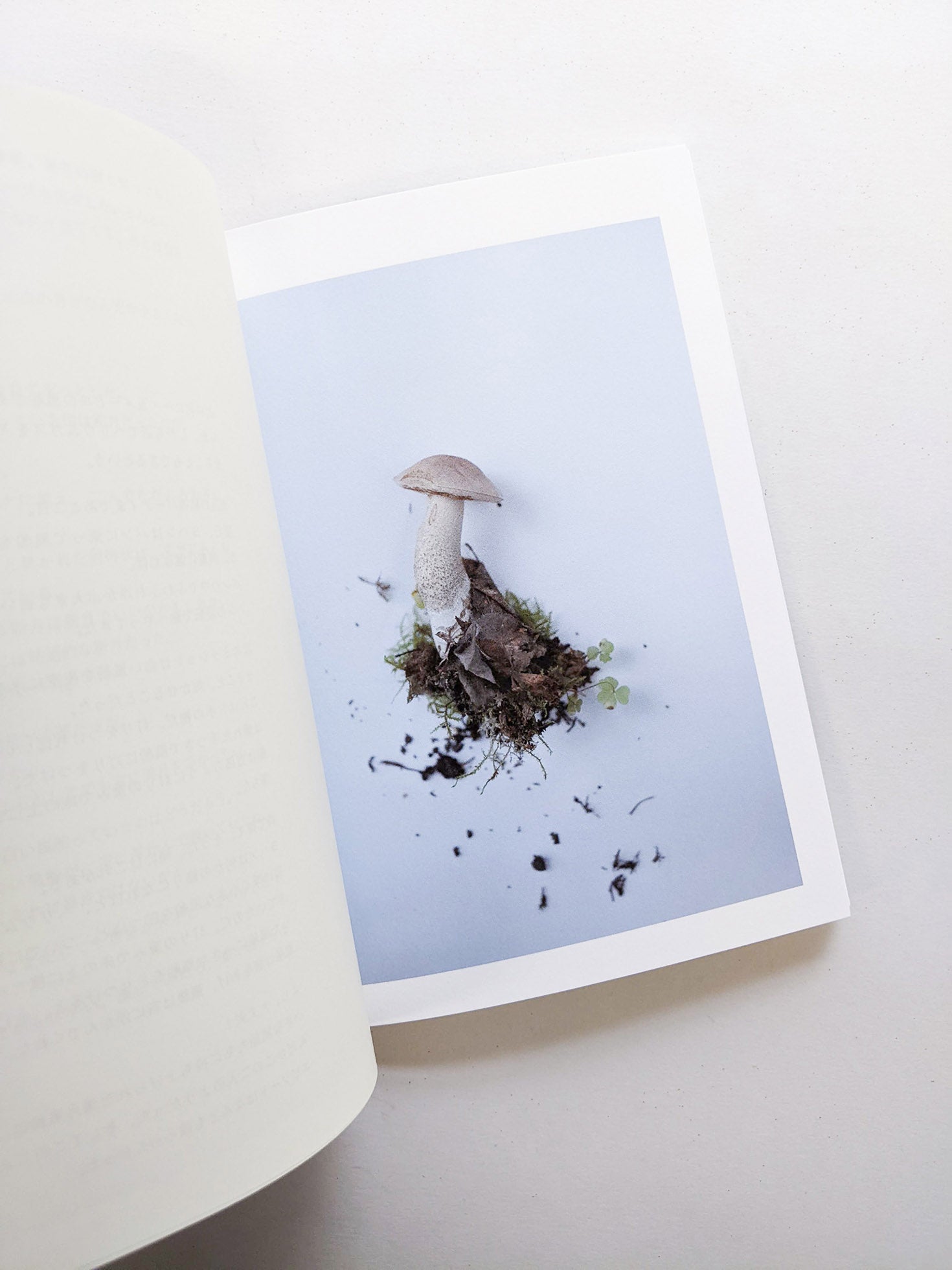 群れた島々と キノコたち / Islands, Islets, and Their Mushrooms