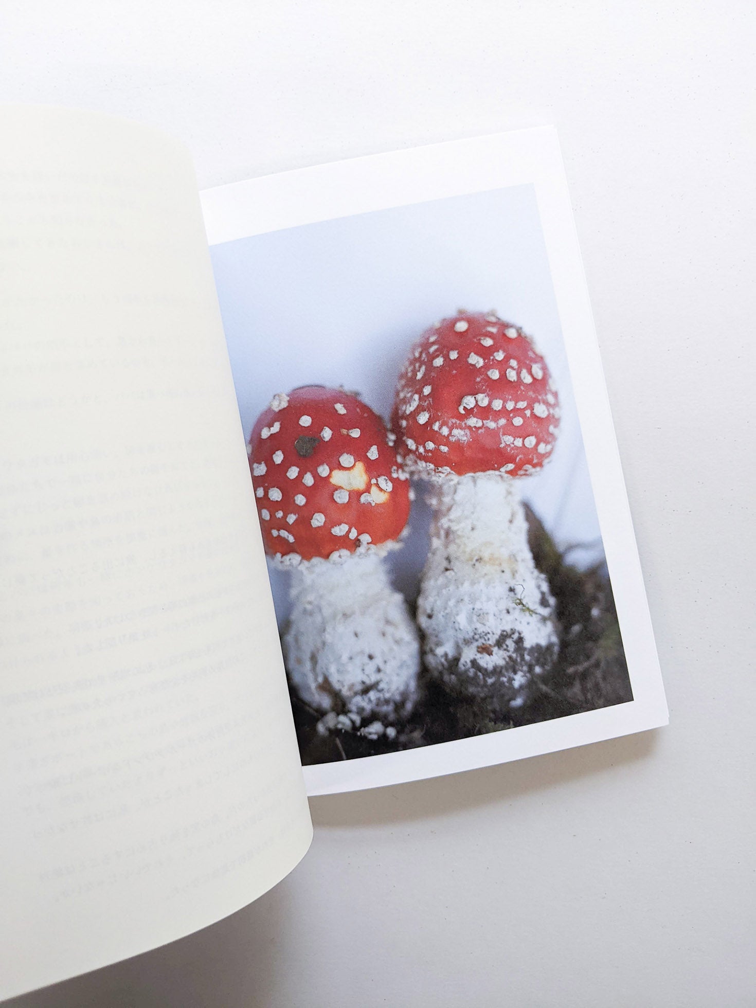 群れた島々と キノコたち / Islands, Islets, and Their Mushrooms [Cut print edition]