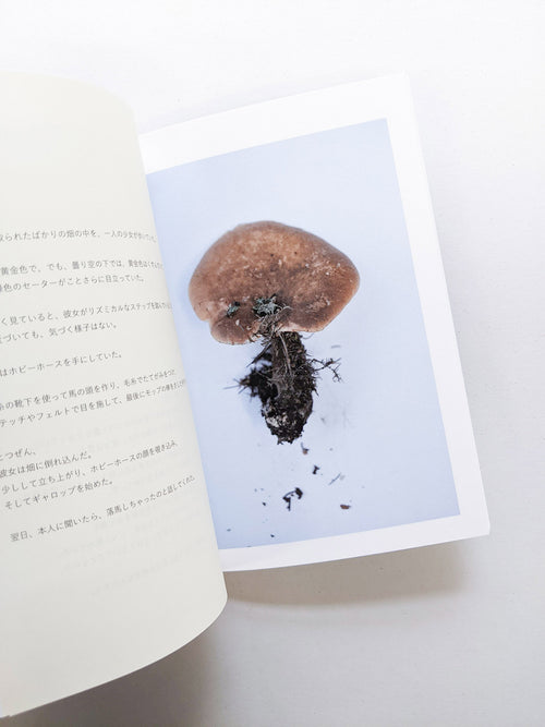 群れた島々と キノコたち / Islands, Islets, and Their Mushrooms [Cut print edition]