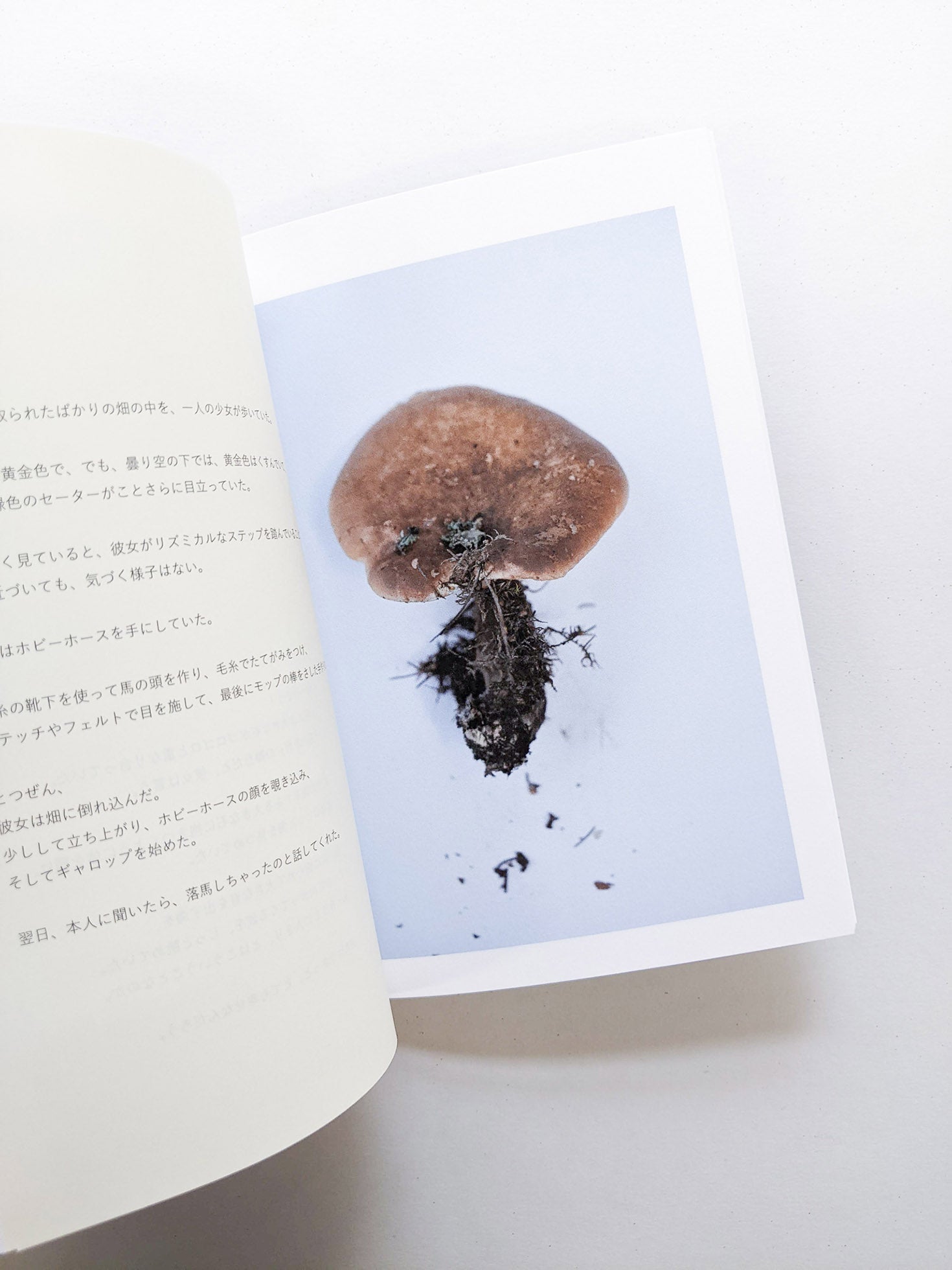 群れた島々と キノコたち / Islands, Islets, and Their Mushrooms