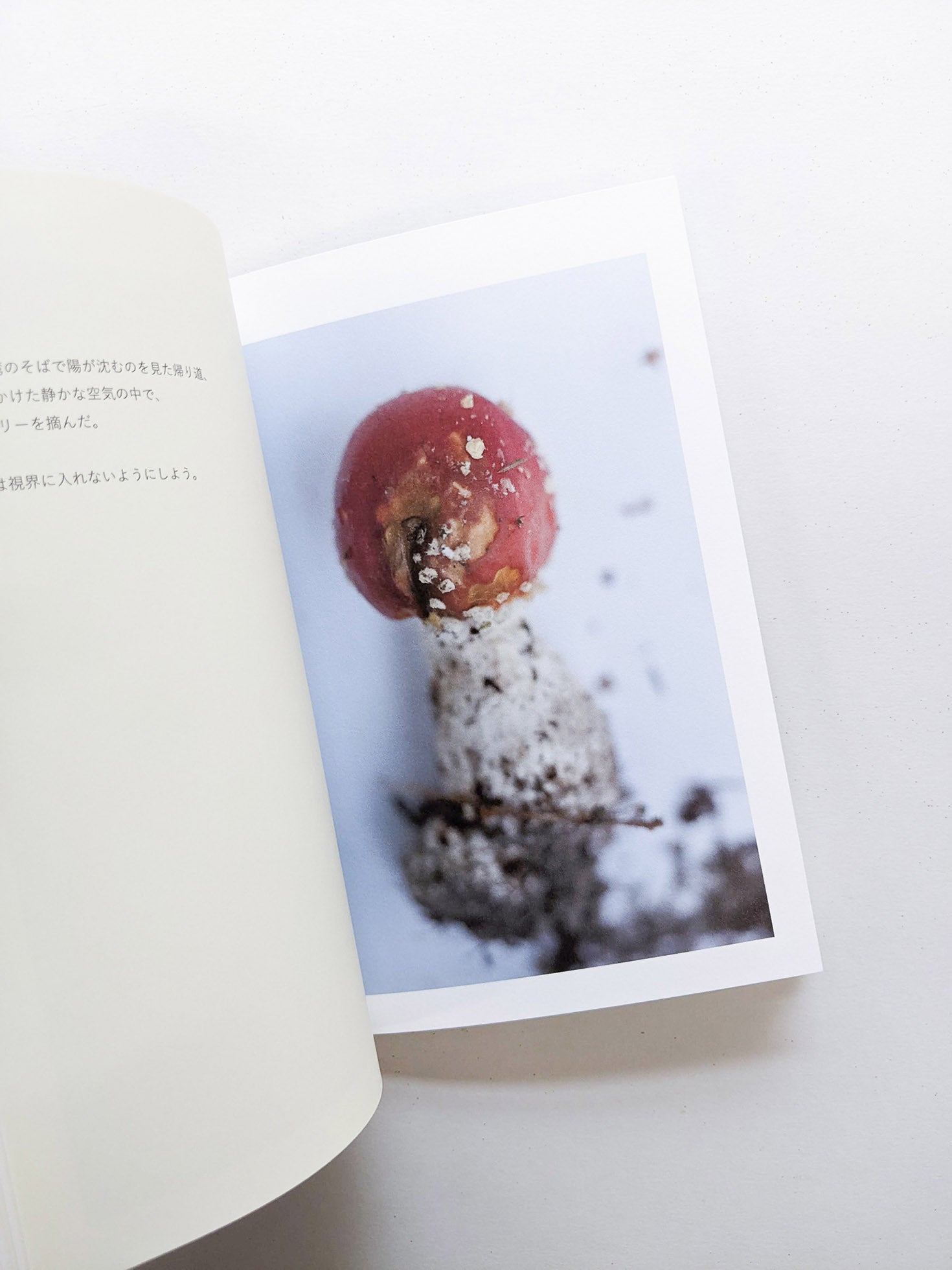 群れた島々と キノコたち / Islands, Islets, and Their Mushrooms