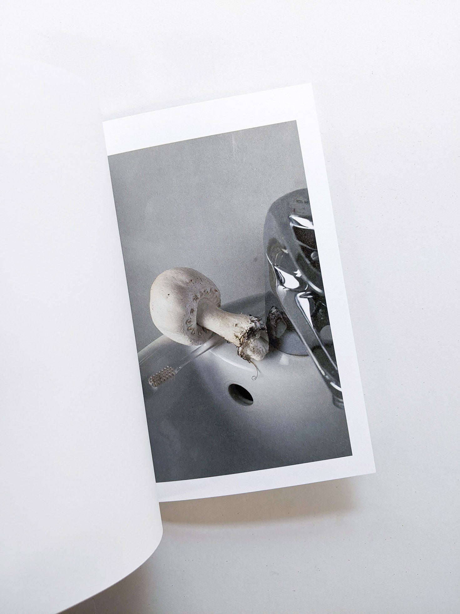 群れた島々と キノコたち / Islands, Islets, and Their Mushrooms [Cut print edition]