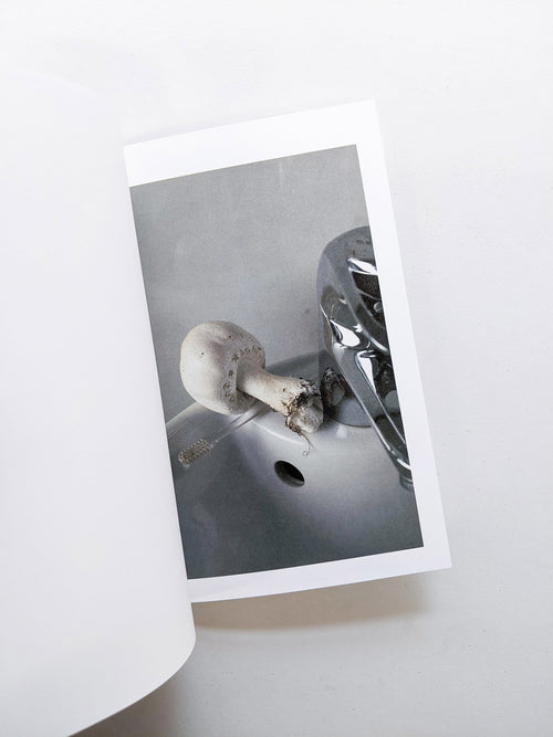 群れた島々と キノコたち / Islands, Islets, and Their Mushrooms [Cut print edition]